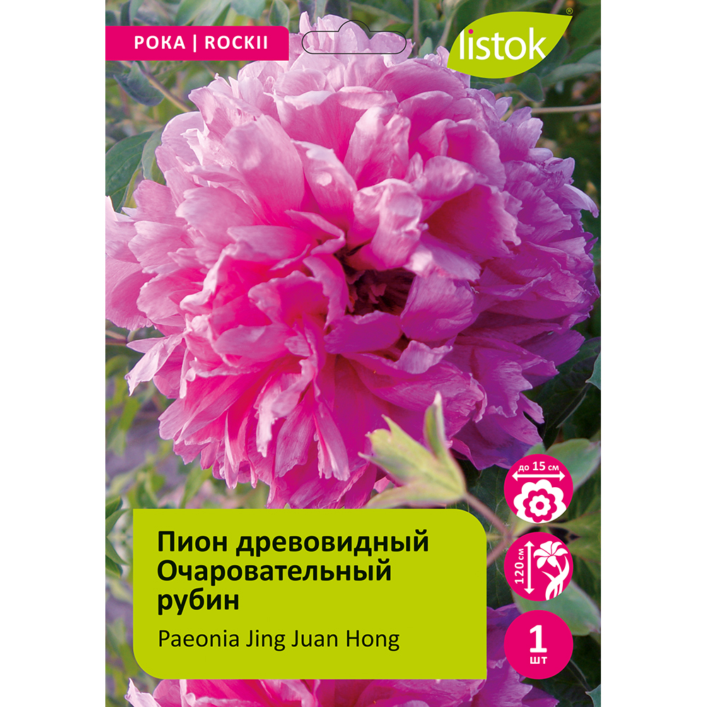 Пион древовидный Очаровательный рубин 1шт/Paeonia Jing Juan Hong (Цзин Хуан Хонг)