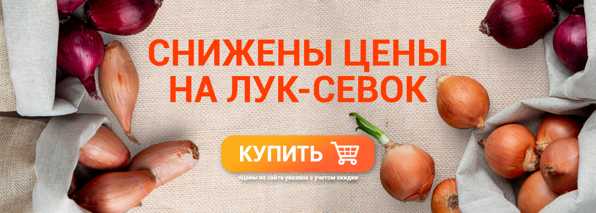 Снижены цены на лук-севок