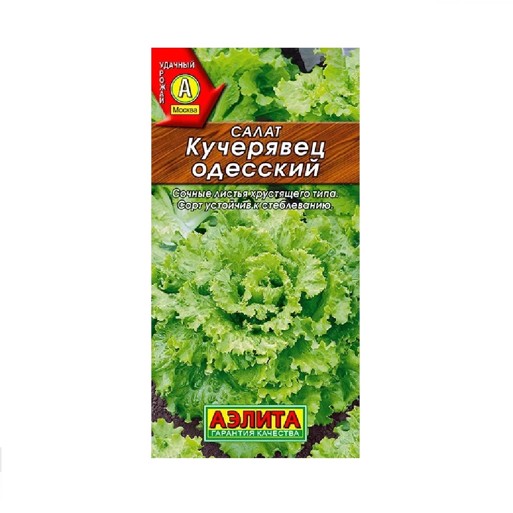 Салат Кучерявец Одесский 0,5гр/10