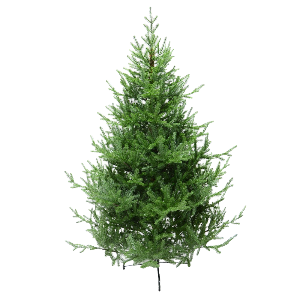 Елка литая БОГЕМСКАЯ 180 см 