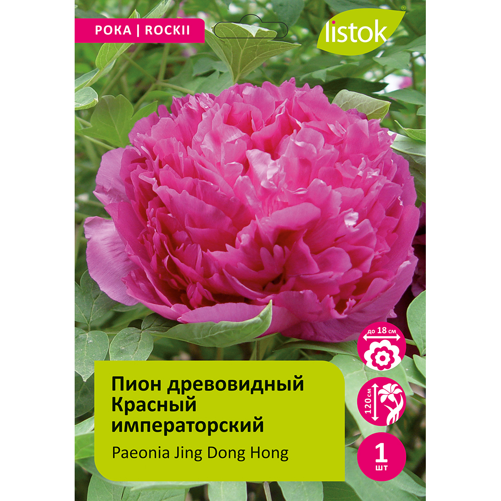 Пион древовидный Красный императорский 1шт/Paeonia Jing Dong Hong (Цзин Донг Хонг)