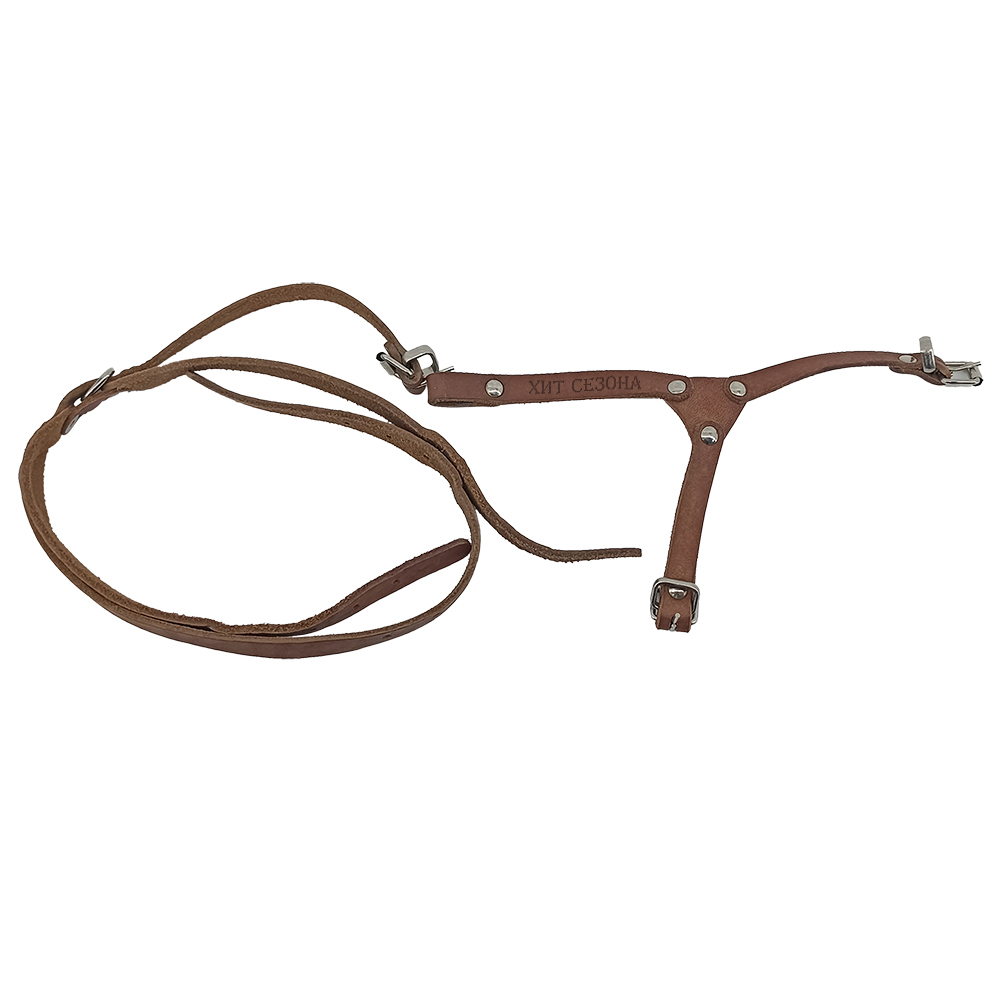 Поводок ХИТ СЕЗОНА для животных