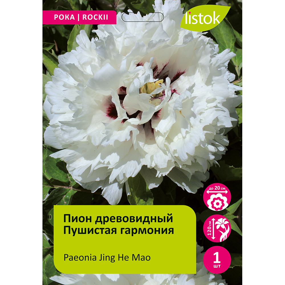 Пион древовидный Пушистая гармония 1шт /Paeonia Jing He Mao(Цзин Хэ Мао)