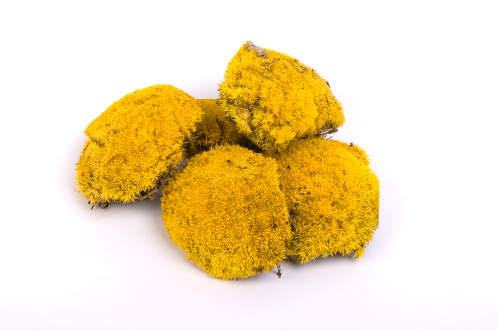 Мох кочковой желтый 0.25кг