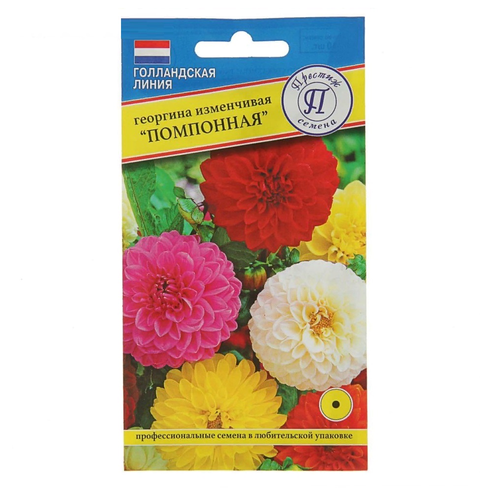 Георгина Помпонная изменчивая  10шт/10