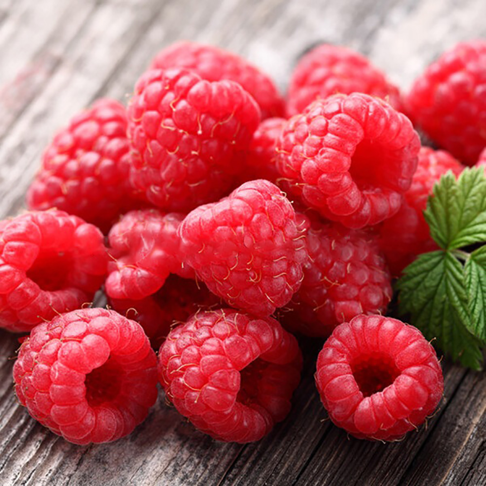 Малина нектарная (малино-поляничный гибрид) 1шт.