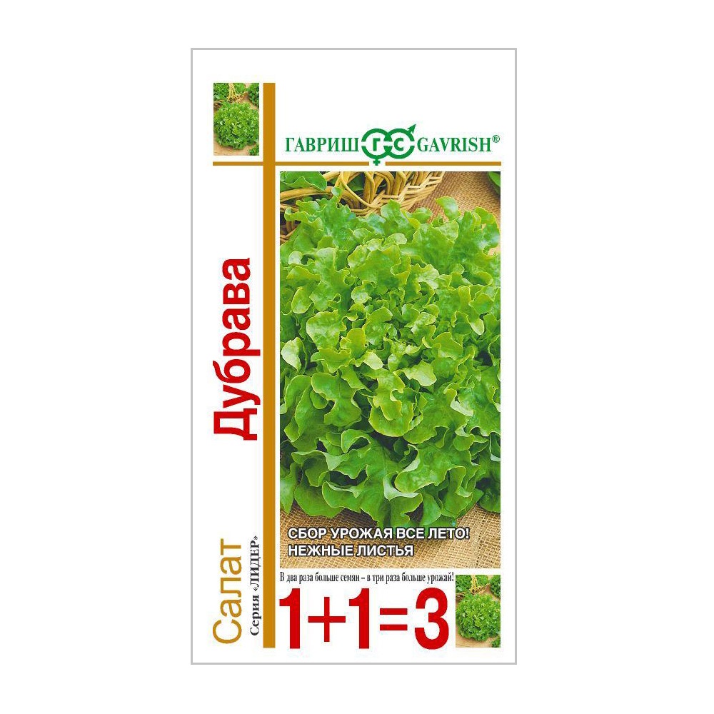 Салат листовой Дубрава 1+1  1гр/10