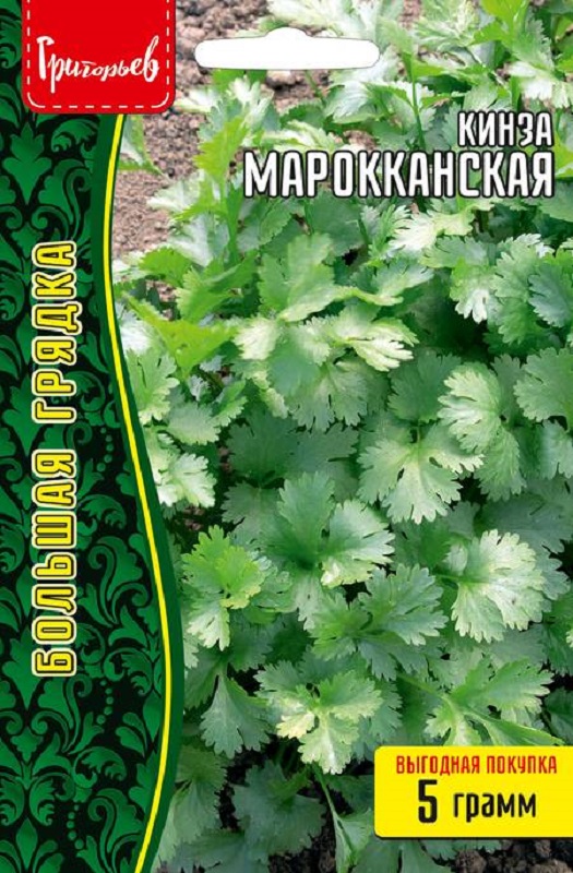 Кинза (кориандр) Марокканская 5г /10