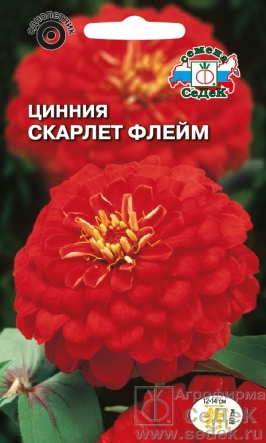 Цинния Скарлет флейм  50шт/0,5гр/10