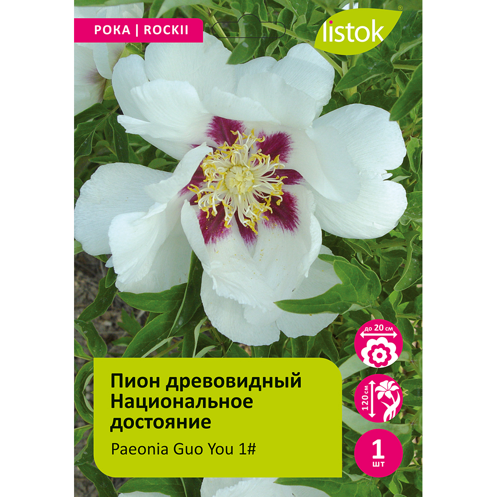 Пион древовидный Национальное достояние 1шт/Paeonia Guo You № 1 (Го Ю 1#)