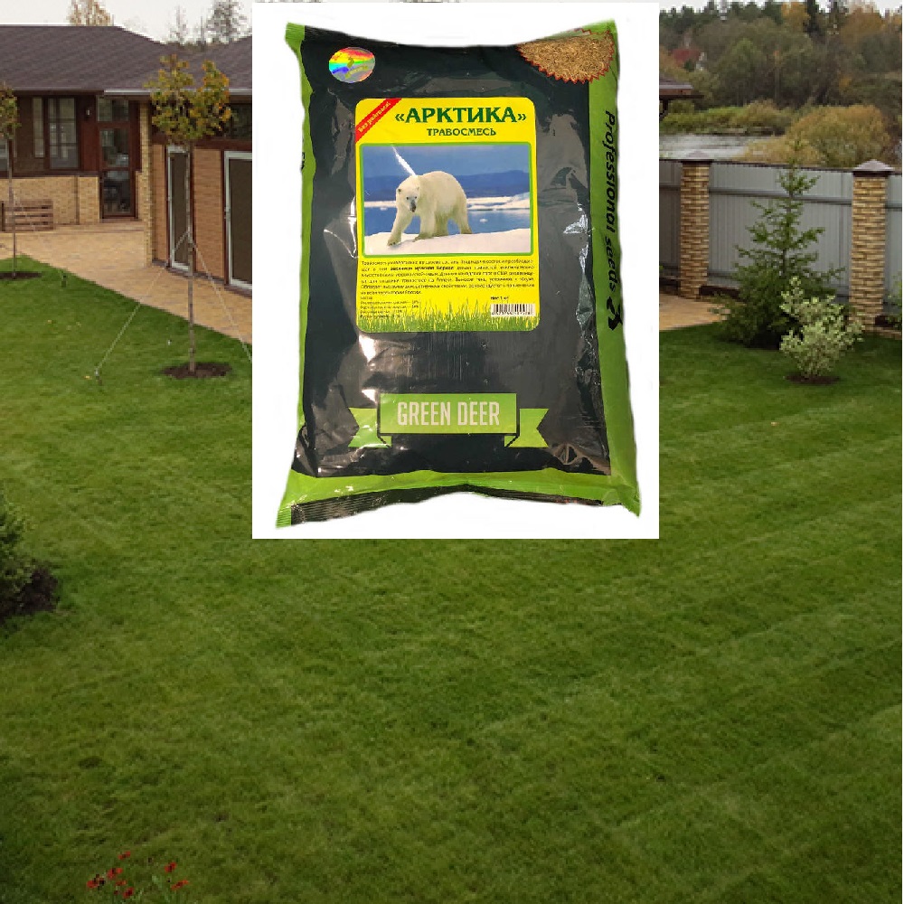 Газон Арктика 1 кг 1/12
