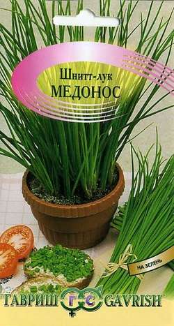 Лук шнитт Медонос  0,5гр/10