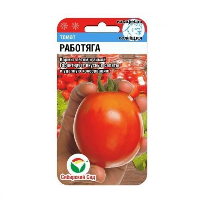 Томат Работяга  20шт/10